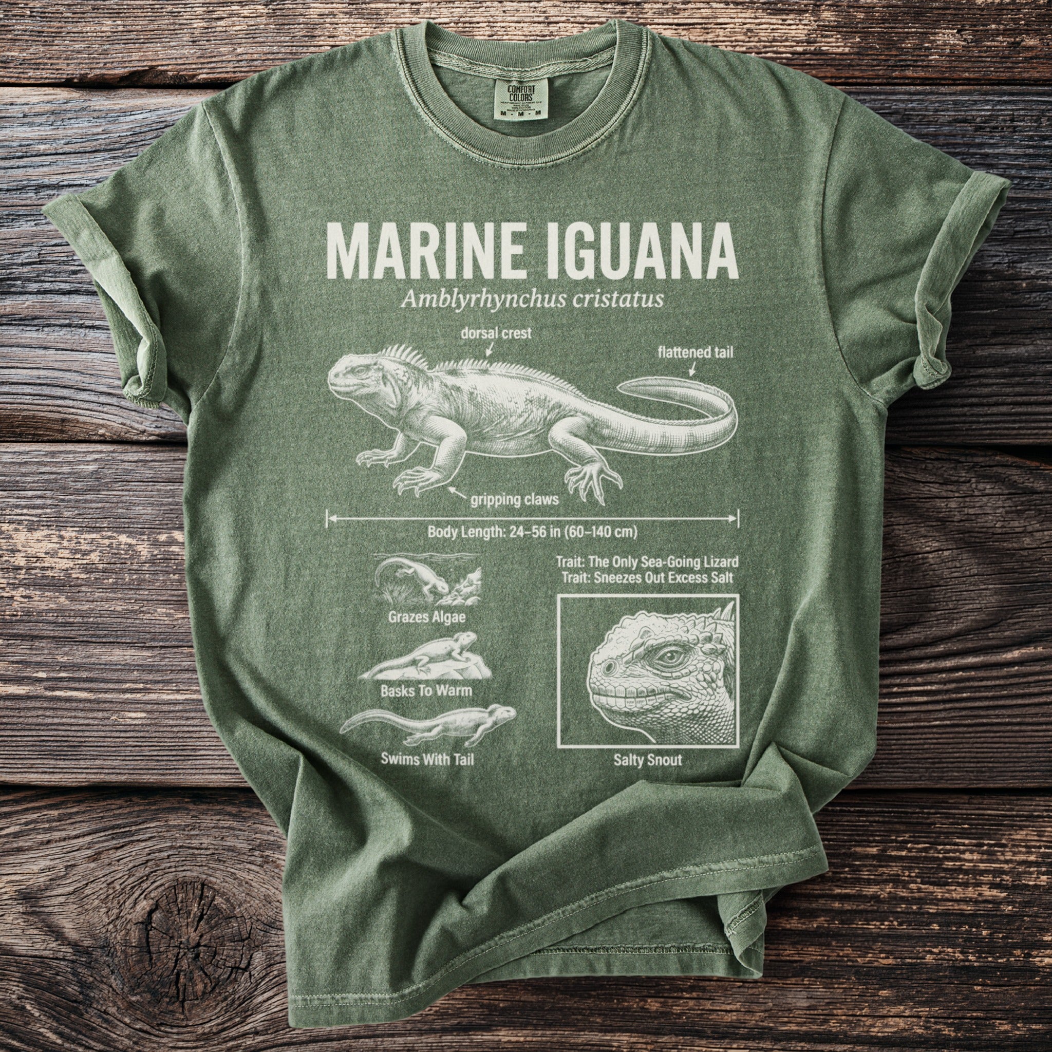 Green t-shirt featuring a detailed illustration of a marine iguana with labels and facts.