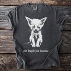 Dark gray t-shirt with white distressed print of a sad cat and "not fragile just haunted".