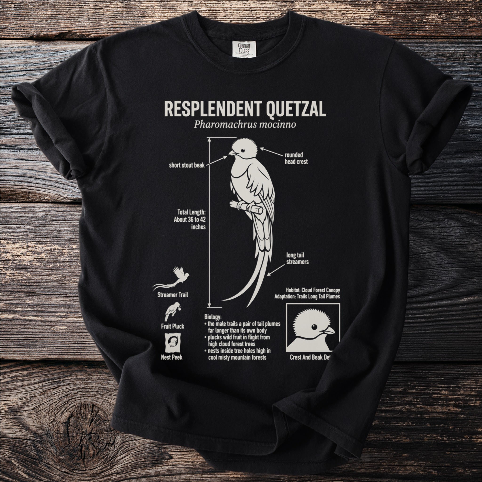 Resplendent Quetzal diagram on a black t-shirt with scientific details.